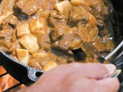 Kangaroo Curry Kangaroo Curry